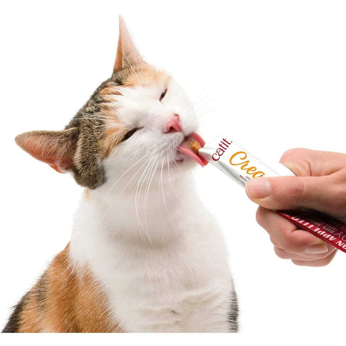 Cat V99759