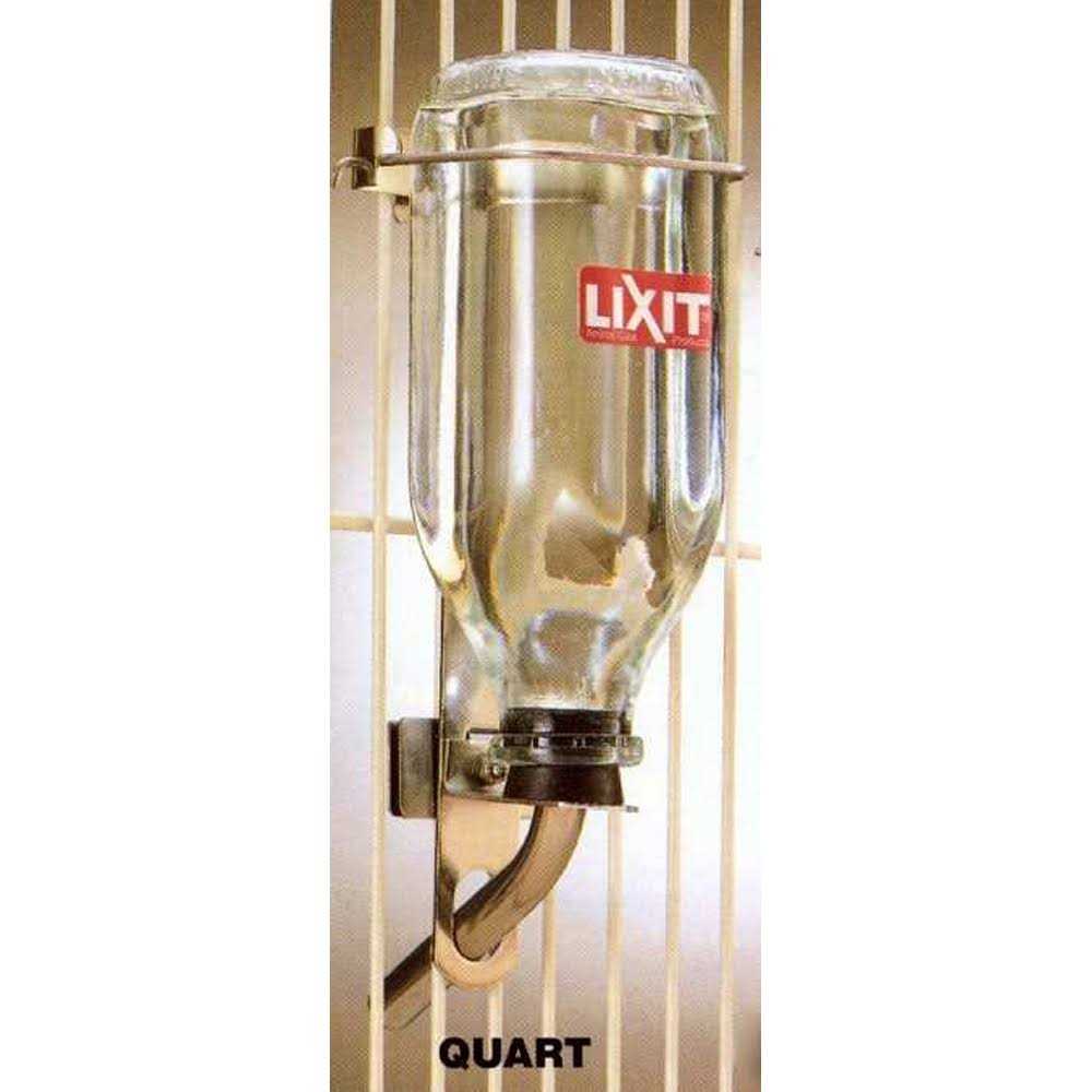 Glass Water Bottle S77127