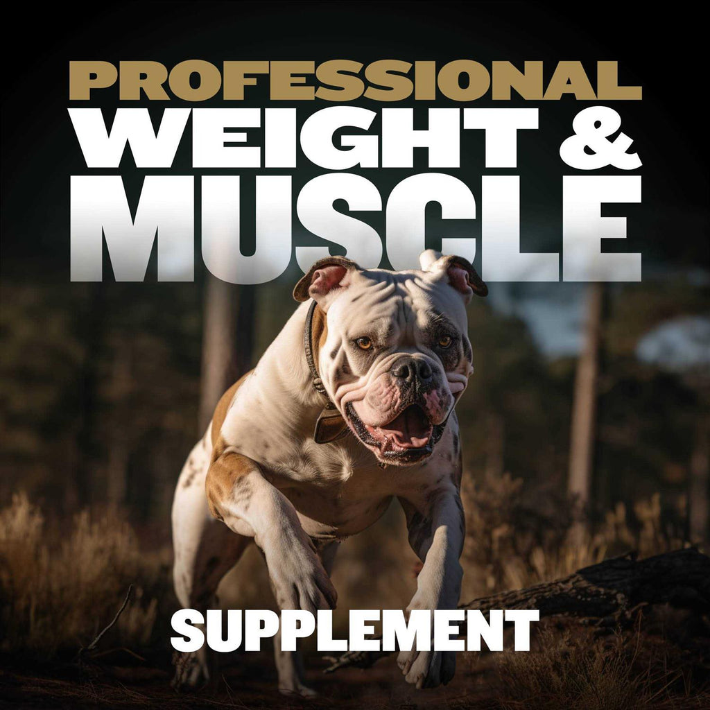 Muscle Builder for Dogs V318