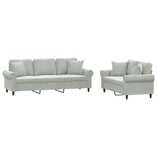Light Gray Velvet 2 Piece Sofa Set S50590