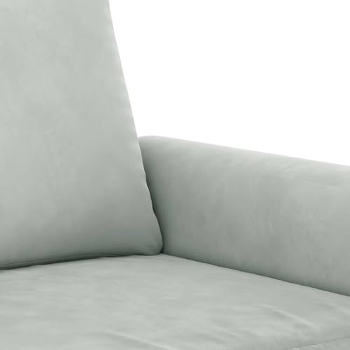 Light Gray Velvet 2 Piece Sofa Set S50590
