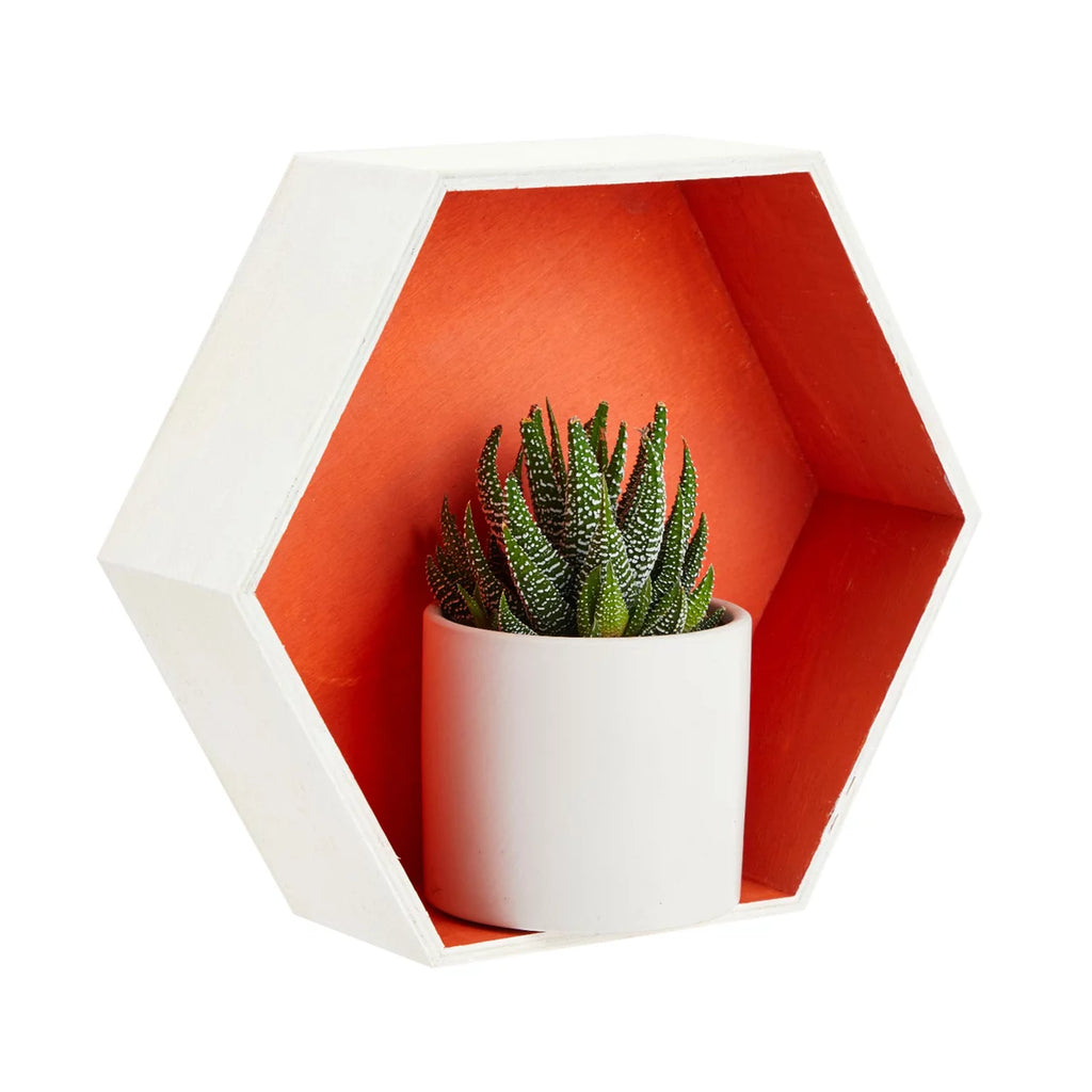 Set of 9 Unfinished Wooden Hexagon Shelves F876348