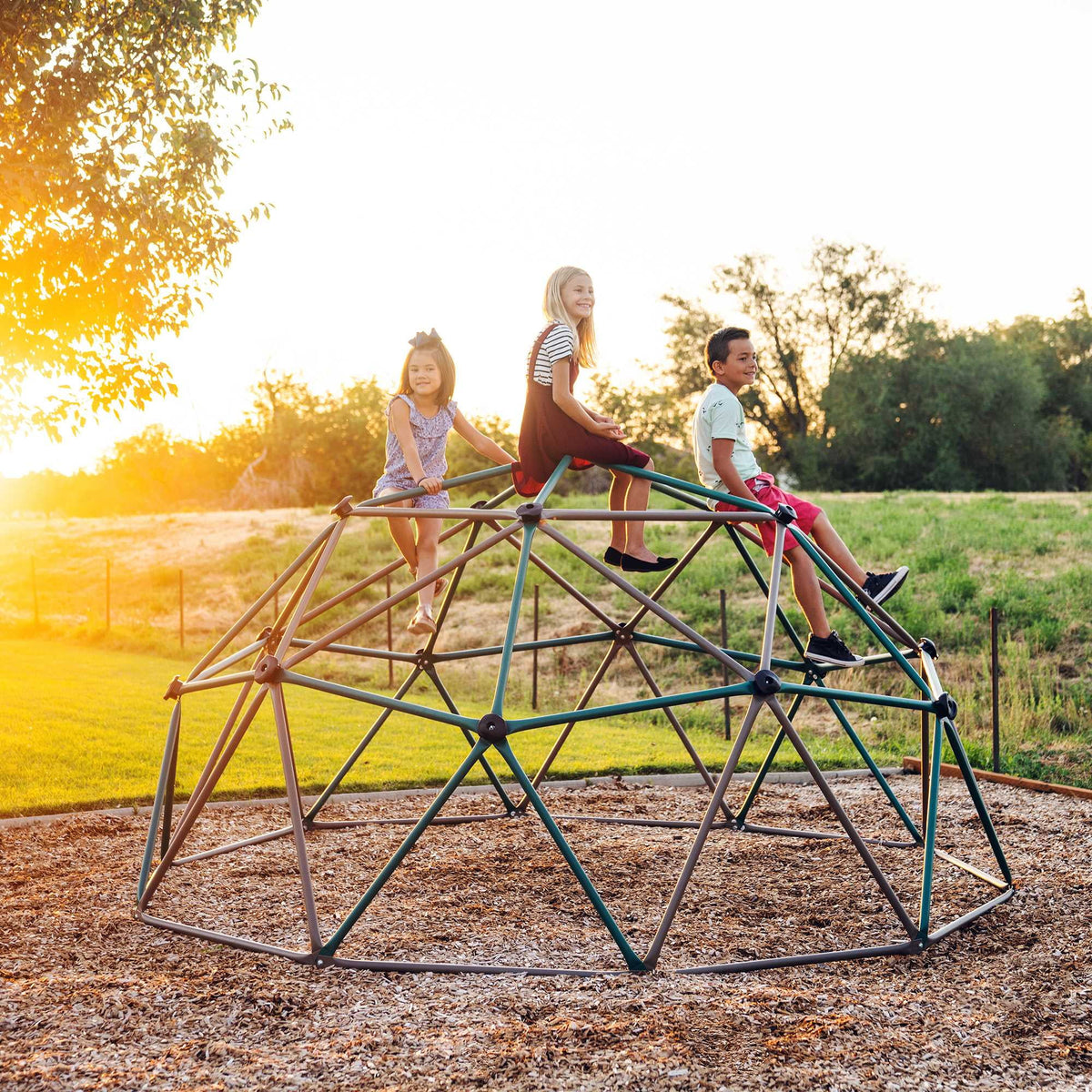 Kid's Outdoor Dome Climber Y4364