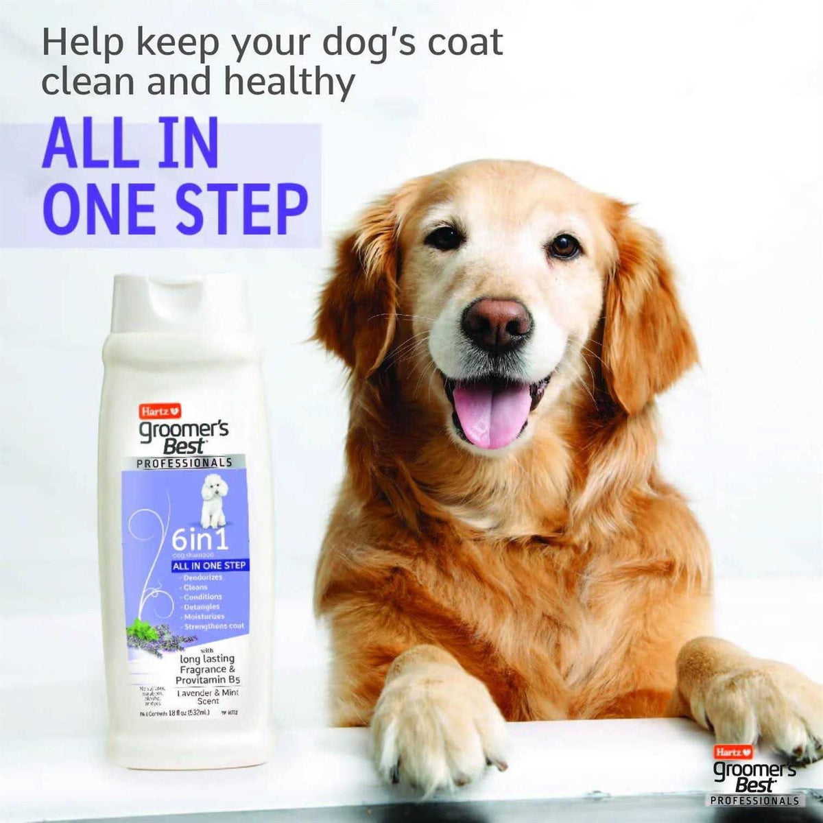 6 in 1 Dog Shampoo U676253