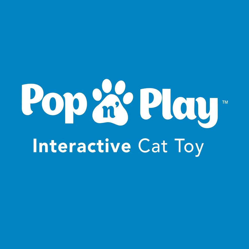Pop N Play Cat Toy V177507