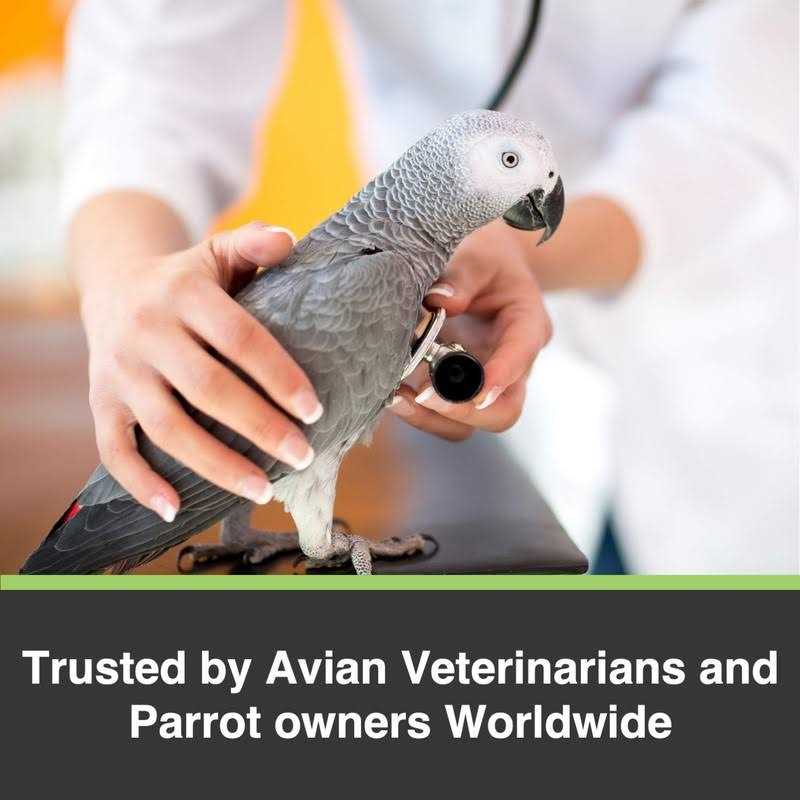 Large Parrot Bird Food U89644