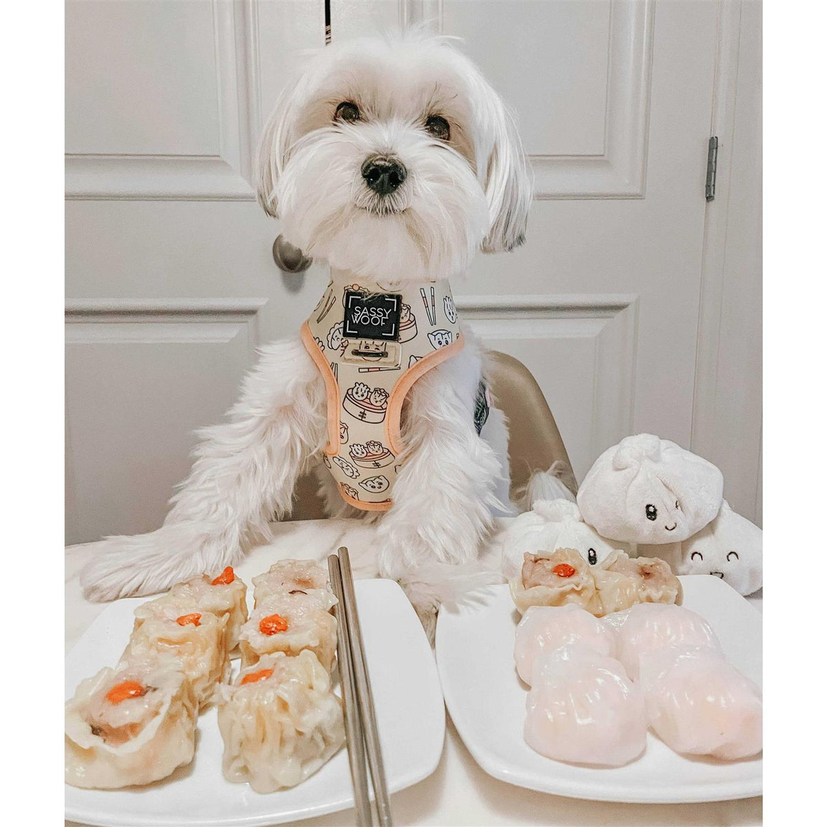 Reversible Dog Harness L4507