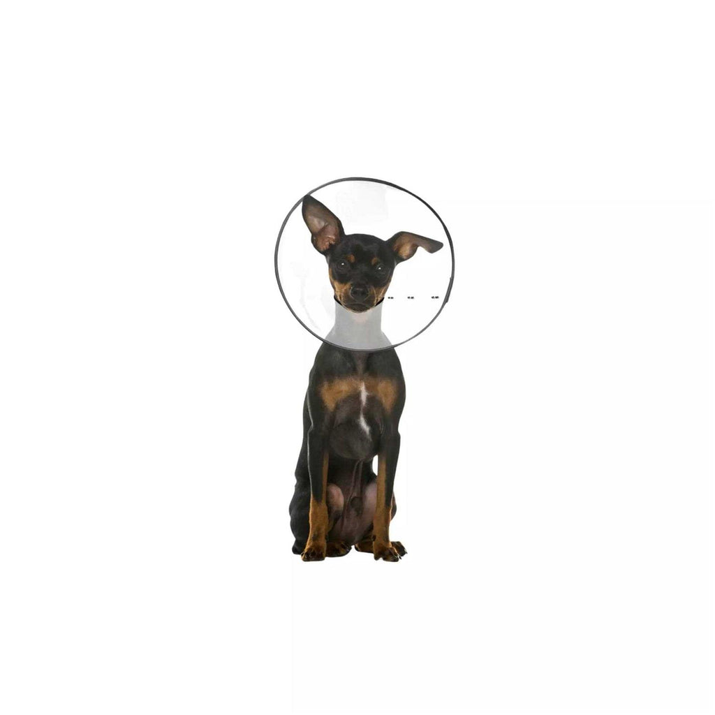 Clear Recovery Collar N83715