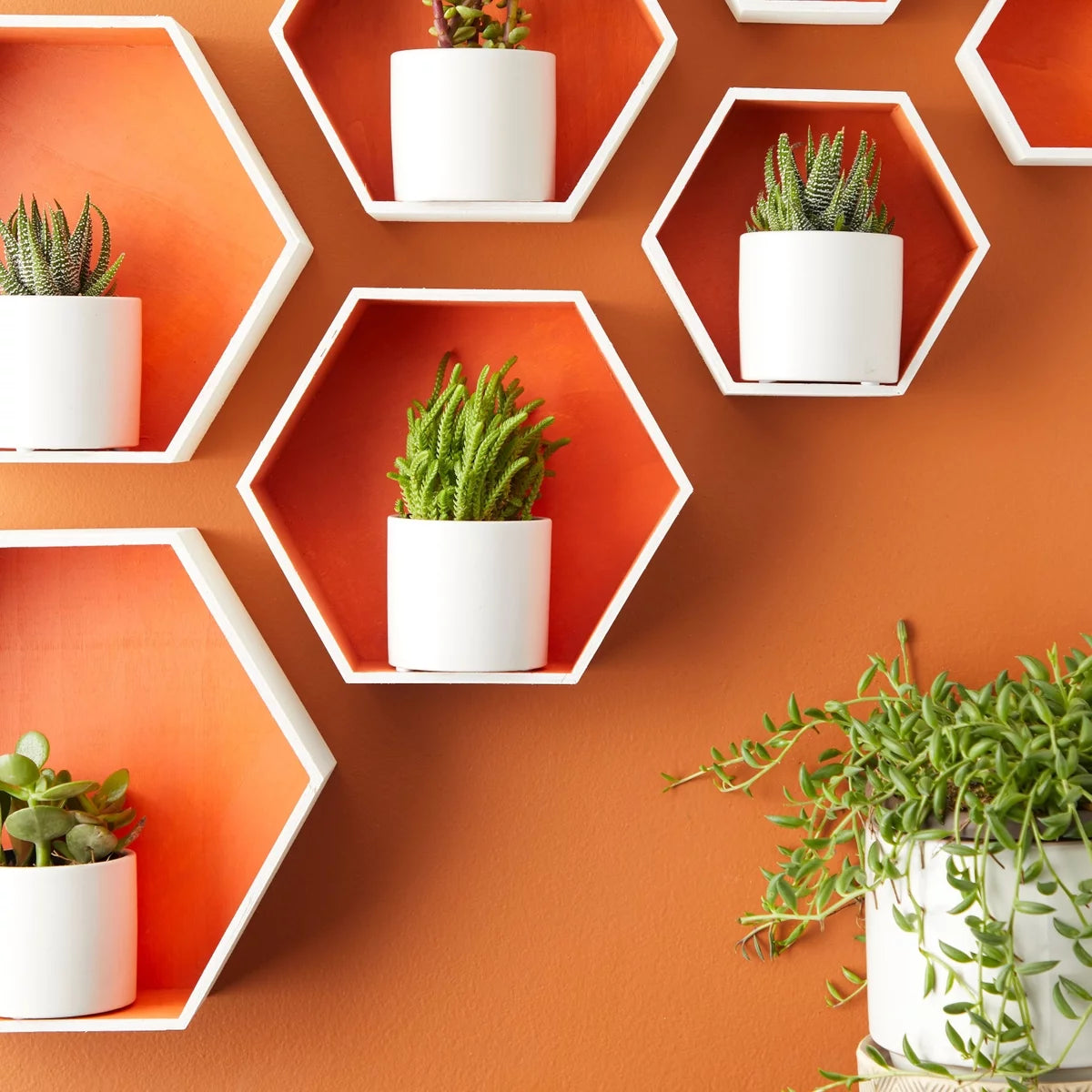 Set of 9 Unfinished Wooden Hexagon Shelves F876348