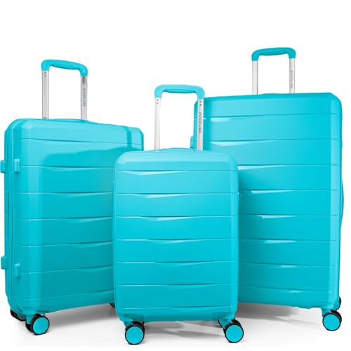 20-Inch Black Hardside Carry-on Luggage with Spinner Wheels and TSA Lock X1449