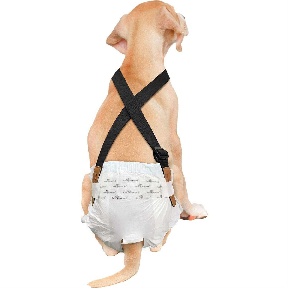 Dog Diaper Suspenders T237850