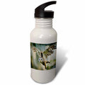 21 oz Sports Water Bottle R1981