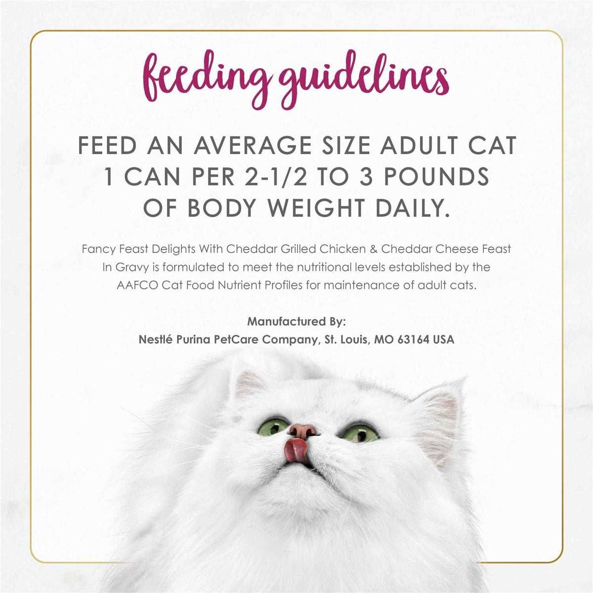 Wet Cat Food U22908