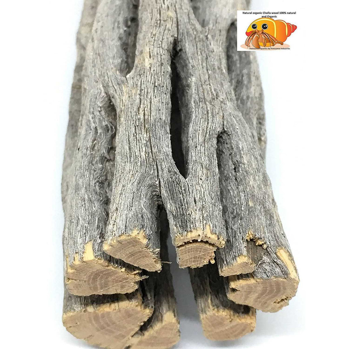Natural Cholla Wood 3 Pieces Aquarium Decoration E4715