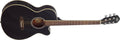 Black Dreadnought Acoustic Electric Guitar T200253