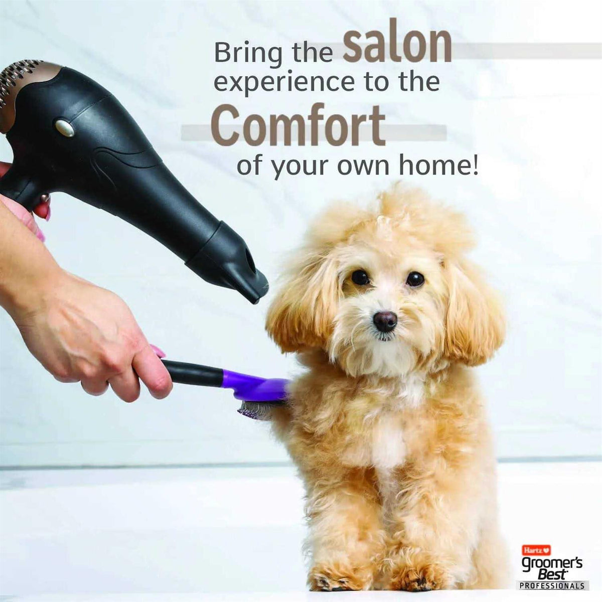 6 in 1 Dog Shampoo U676253