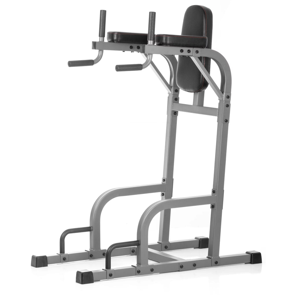 Vertical Knee Raise with Dip Station and Push Up Station D53068