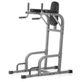 Vertical Knee Raise with Dip Station and Push Up Station D53068