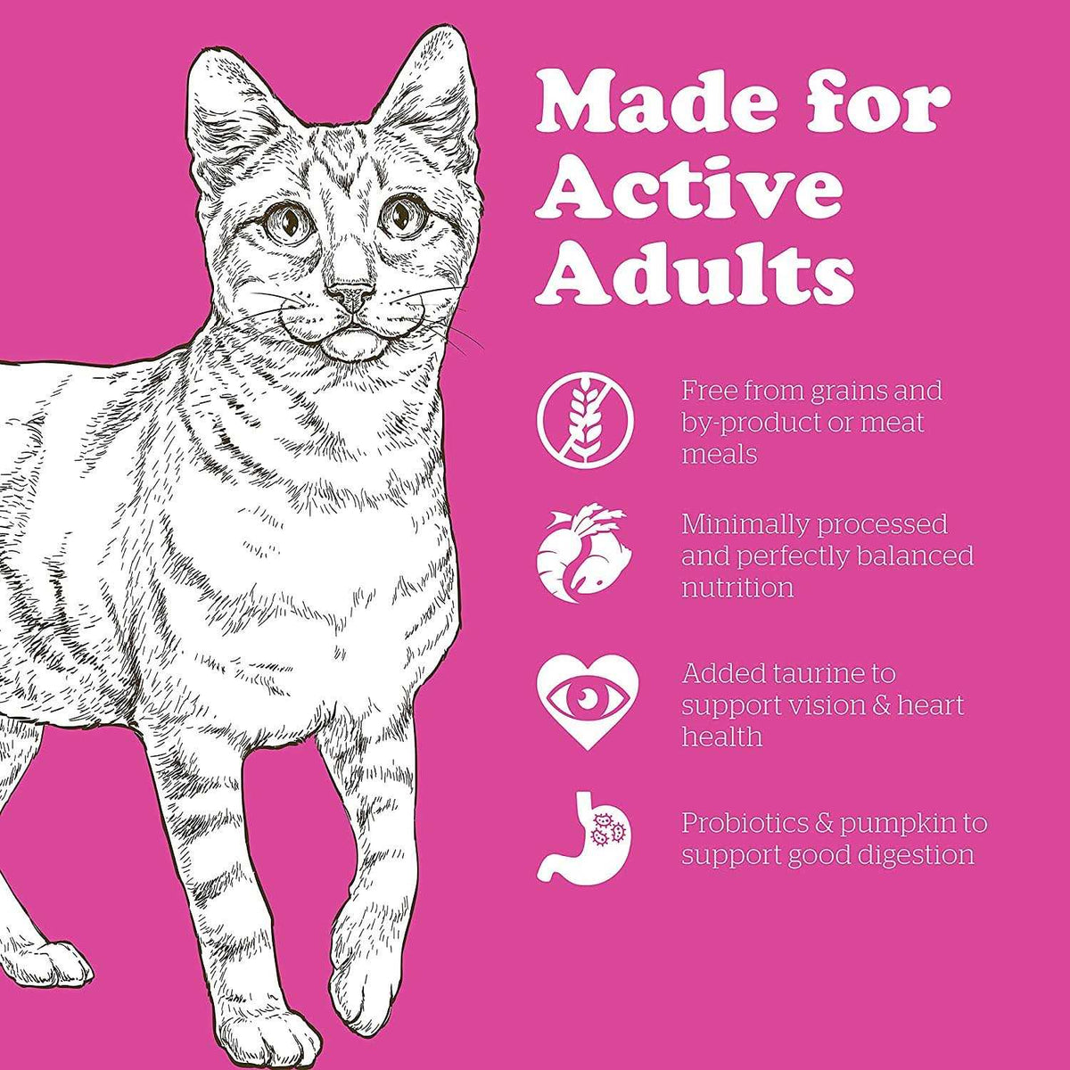 Grain-Free Adult Dry Cat Food J279760