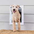 Wall Entry Pet Door P8655