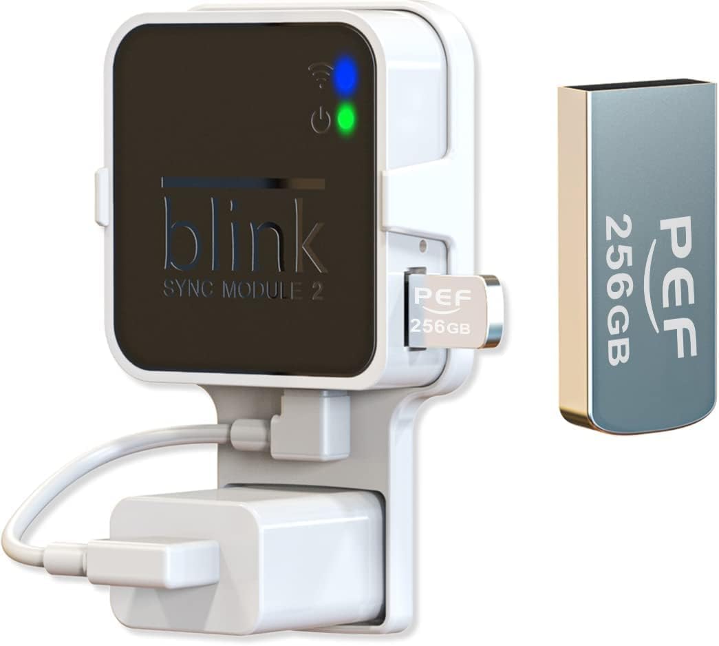 256GB USB Flash Drive for Blink Sync Module 2 N9549