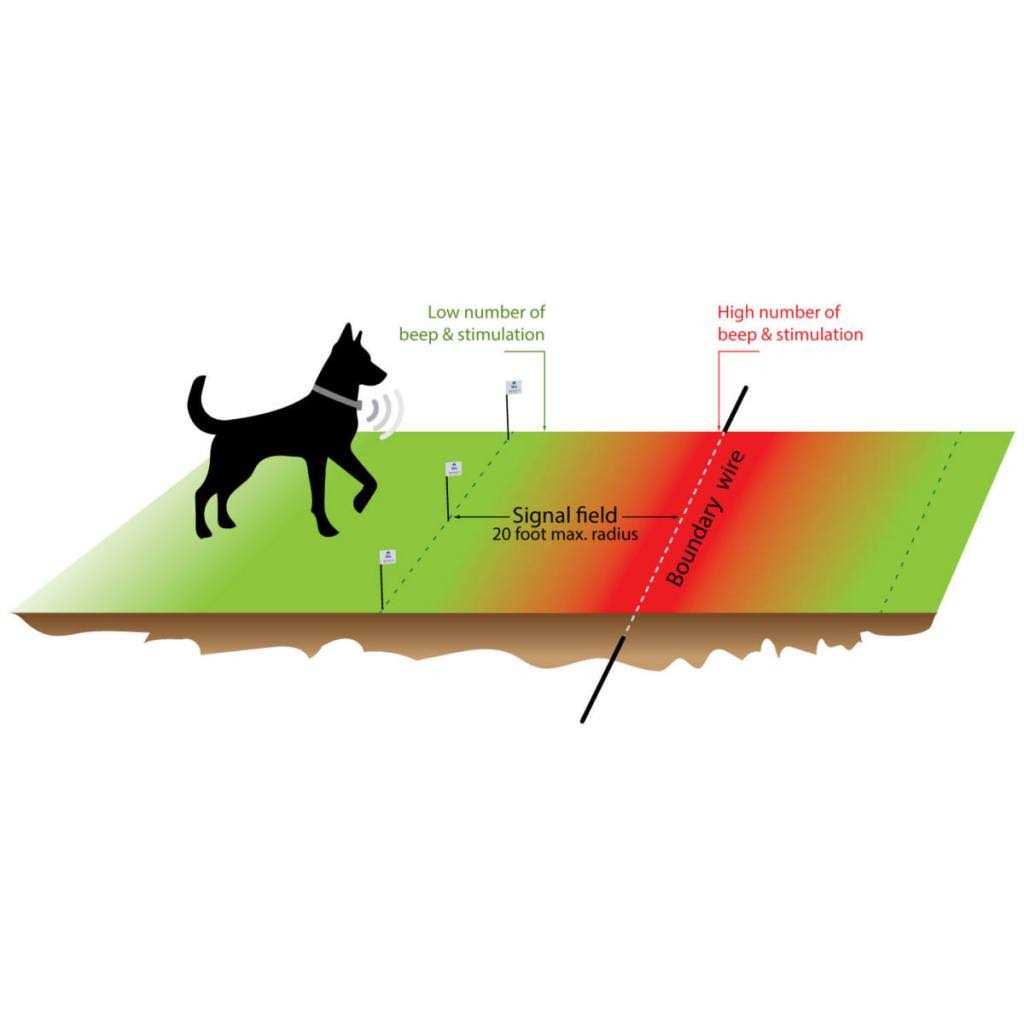 Electronic Dog Fence System P3787