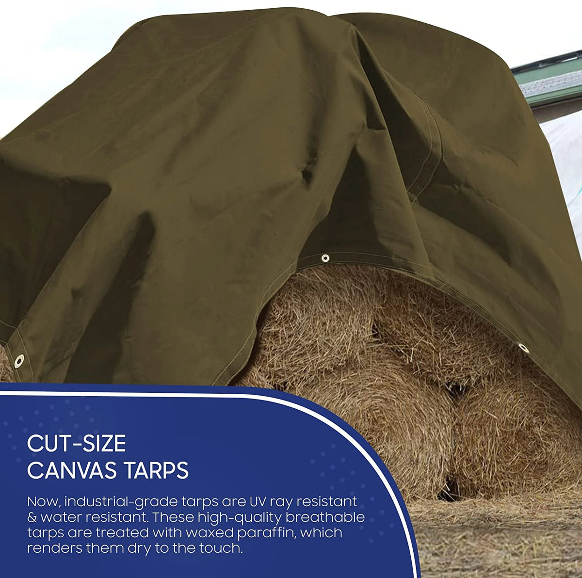 20 Mil Canvas Tarp with Brass Grommet Olive Drab 6'x8' P260812