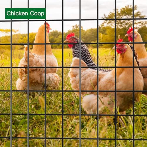 Black PVC Coated Welded Wire Fence 2inchx3inch 24inchx25ft 16Gauge Garden Border Fencing Roll M752