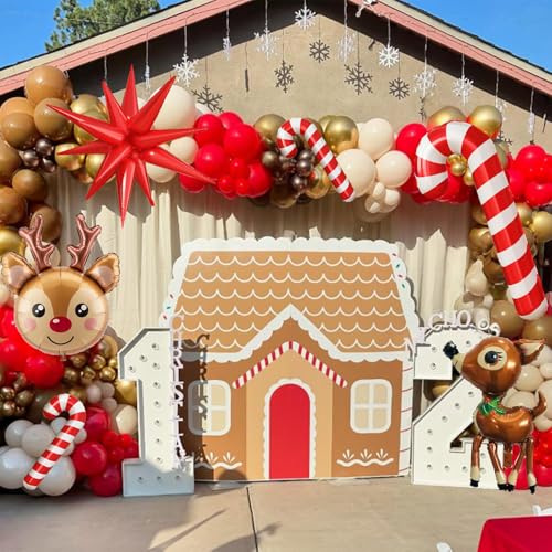 Winter Balloon Arch Kit, Blue Purple Silver Snowflake Balloon Garland F5499