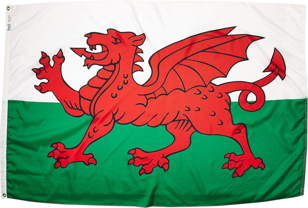 International Flag 5x8' A517