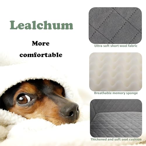 Large Dog Car Seat with Memory Foam Cushion and Storage Pockets (Black) P306483