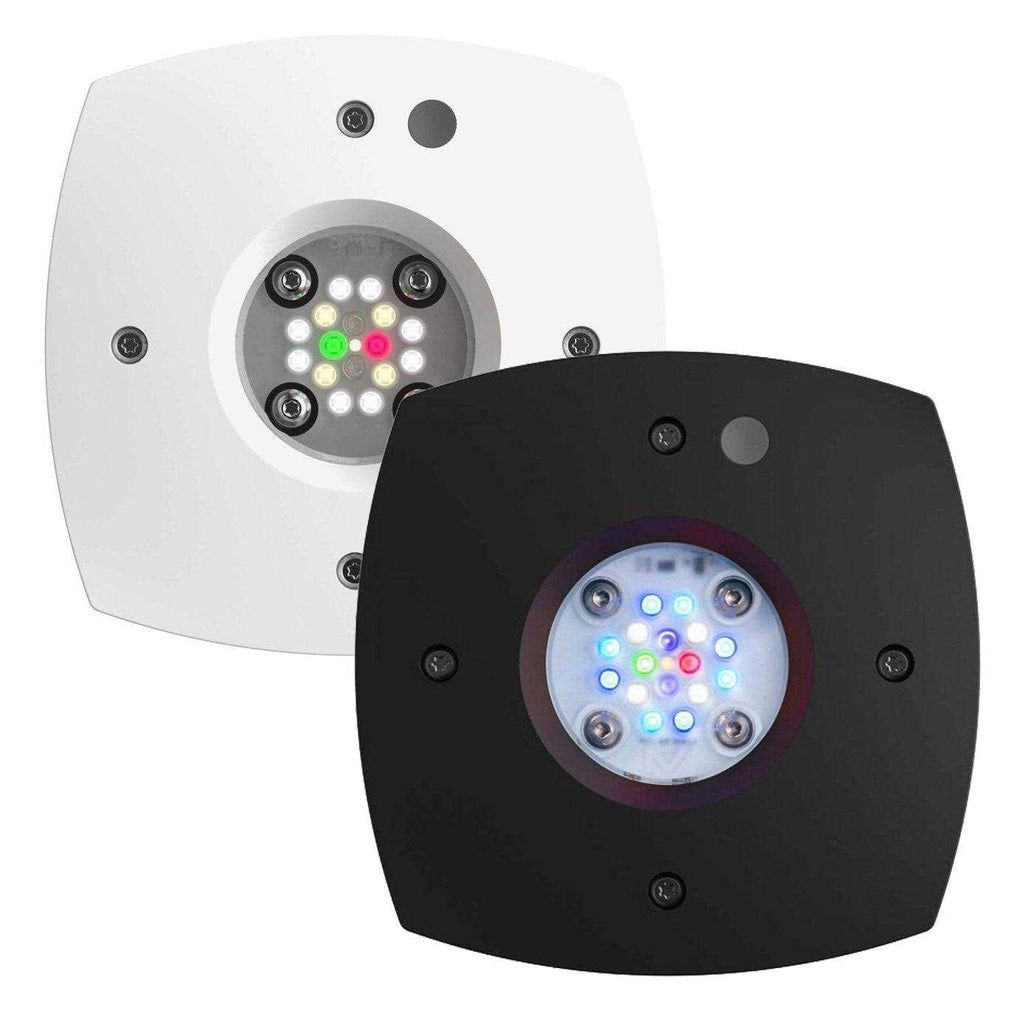 Reef LED S3276