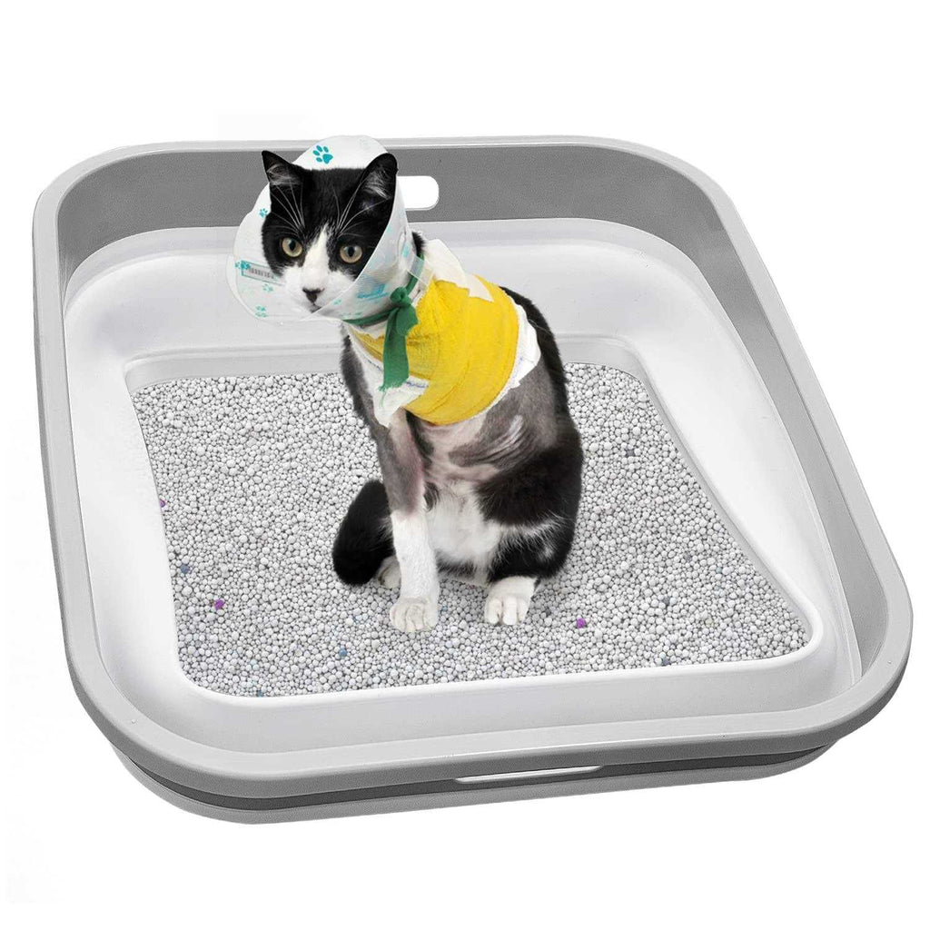 Senior Cat Litter Box Open Low Entry P8069