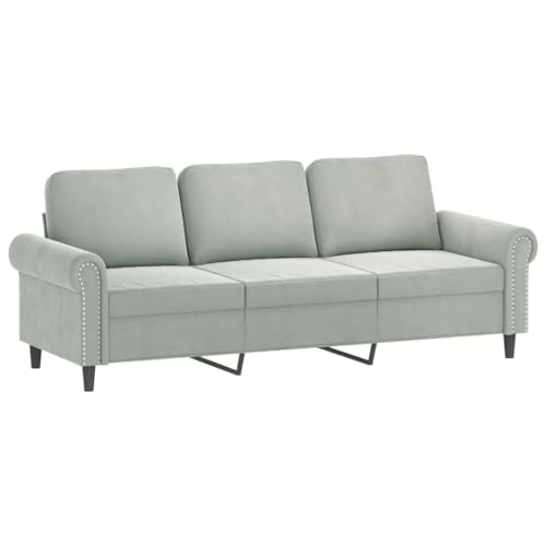 Light Gray Velvet 2 Piece Sofa Set S50590