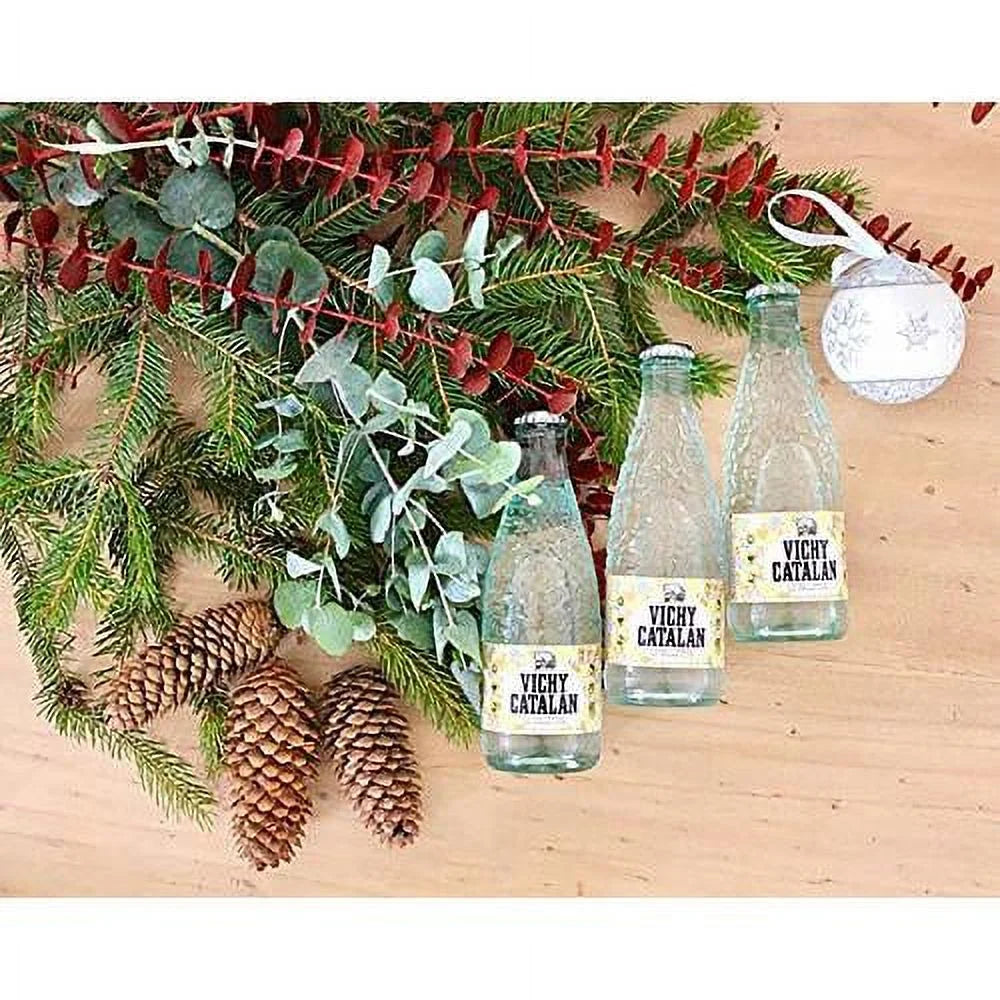 Sparkling Mineral Water 16.9 Oz 20 Glass Bottles H389