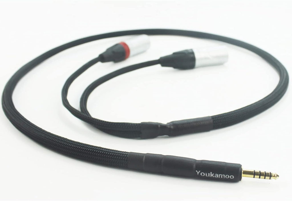 4.4mm to Dual XLR Male Balanced Audio Adapter Cable 5 FT Pack of 2 Y5682