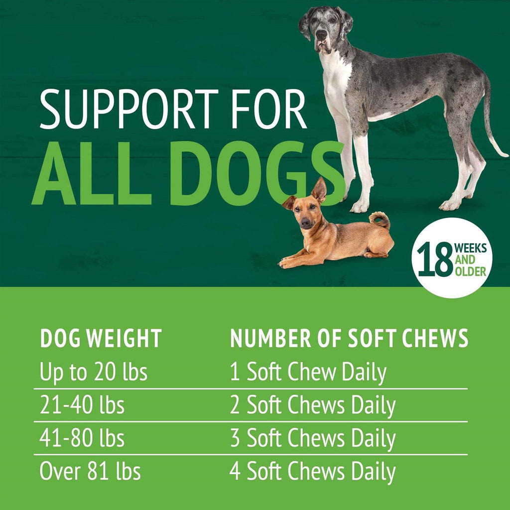 Skin & Coat Soft Chews Q26856