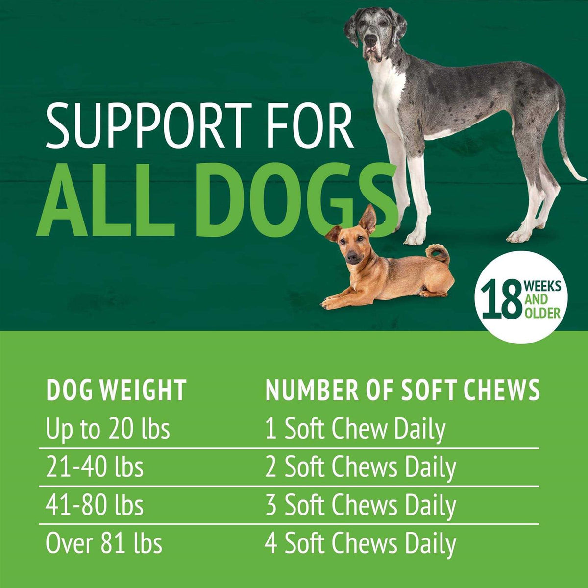 Skin & Coat Soft Chews Q26856