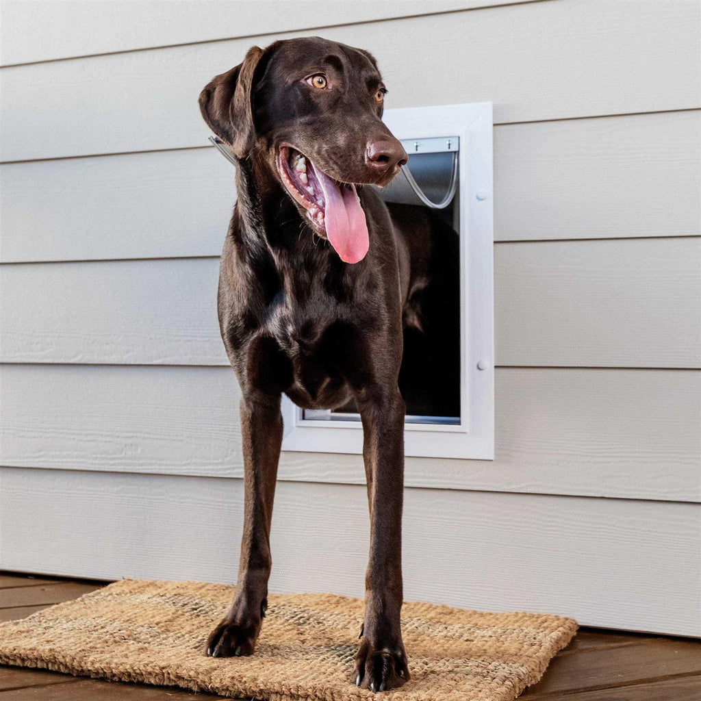 Wall Entry Pet Door P8655