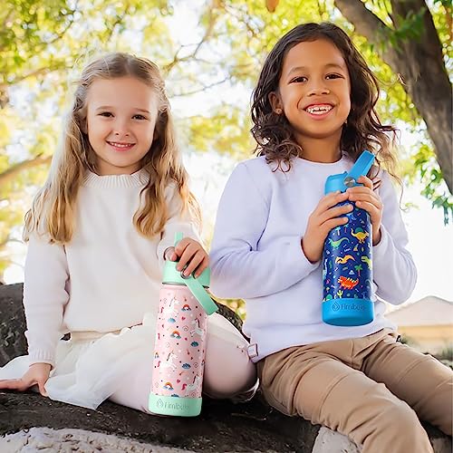 18oz 2 Pack Double Wall Stainless Steel Insulated Water Bottle with Straw W770098