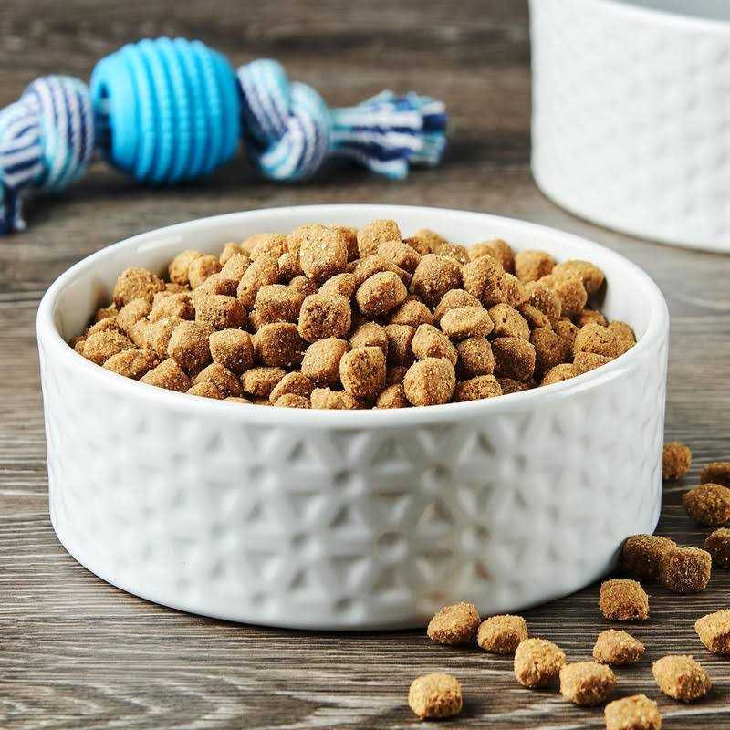 Dry Dog Food F781067