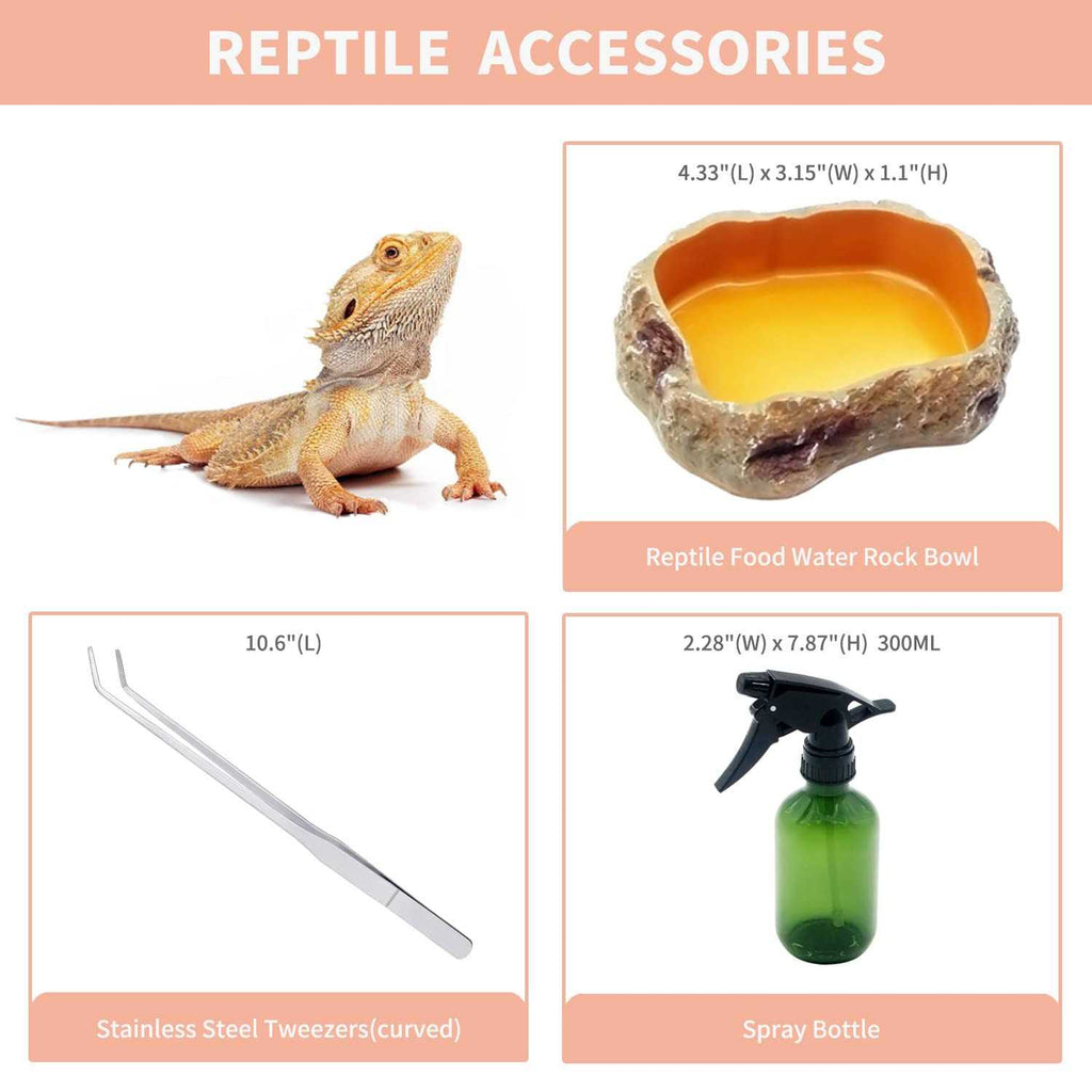 Mini Reptile Terrarium with Full View Y8597