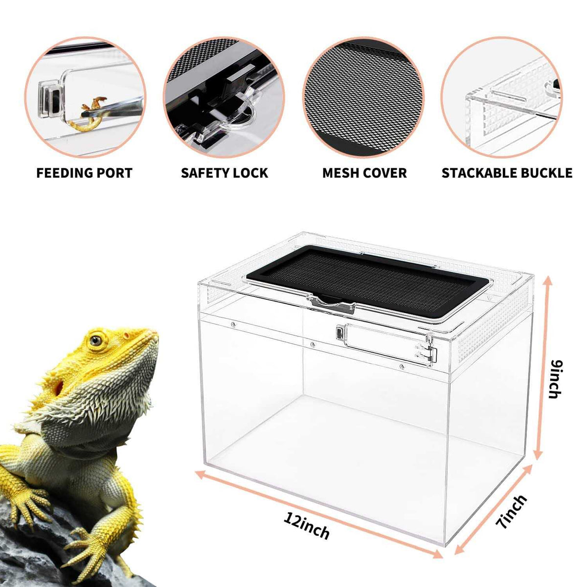 Mini Reptile Terrarium with Full View Y8597