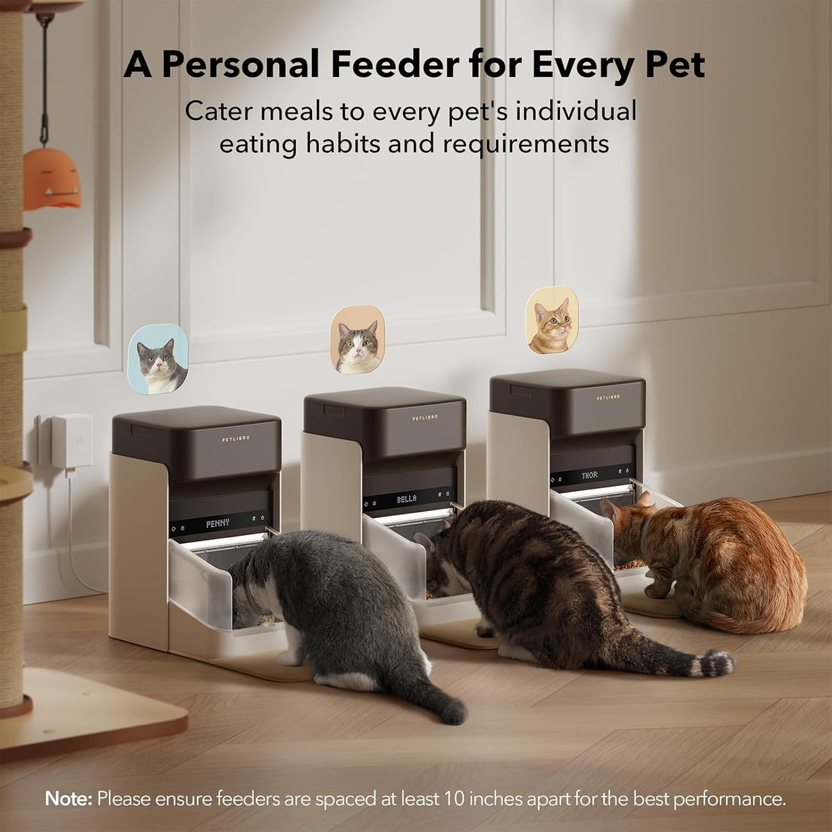 2 Packs RFID Automatic Cat Feeders, 3L K131
