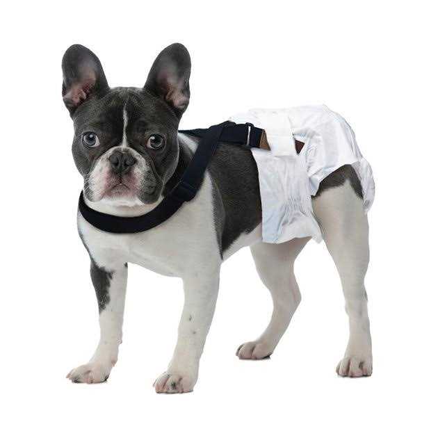 Dog Diaper Suspenders T237850