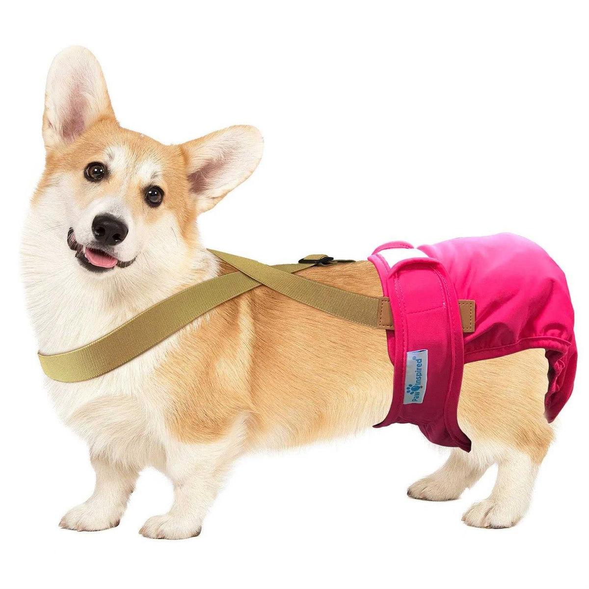 Dog Diaper Suspenders T237850