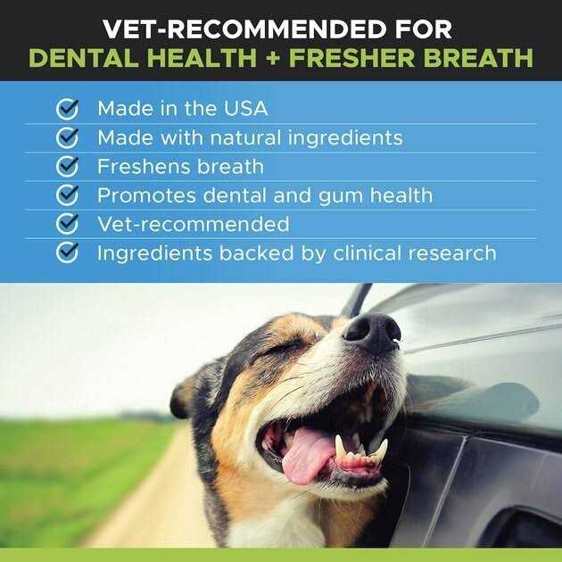 Oral Hygiene Dental Water 3-Pack 24 Ounces Pet Supplements O5069
