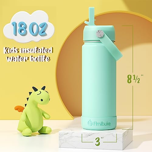18oz 2 Pack Double Wall Stainless Steel Insulated Water Bottle with Straw W770098