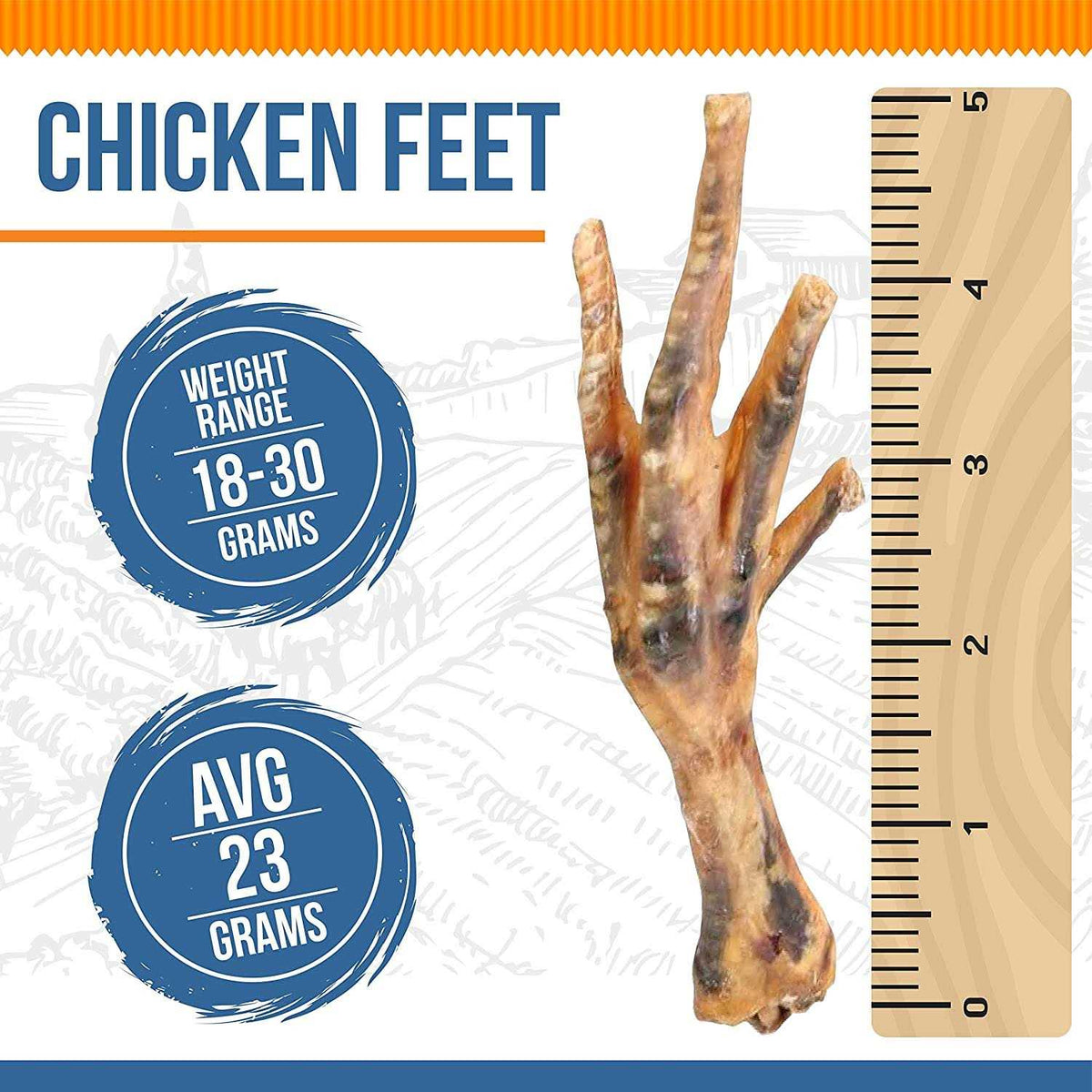 Chicken Feet Dog X6280