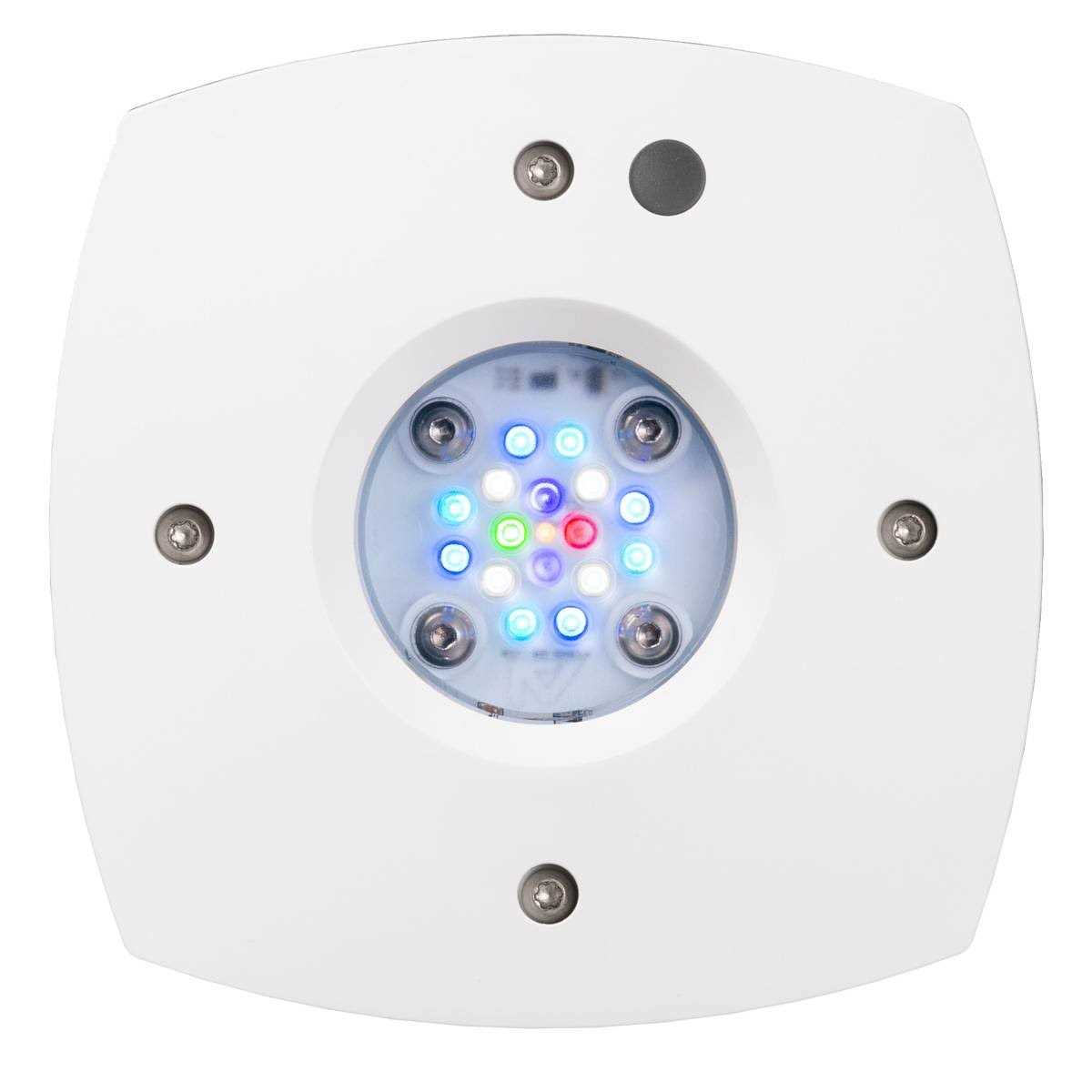 Reef LED S3276